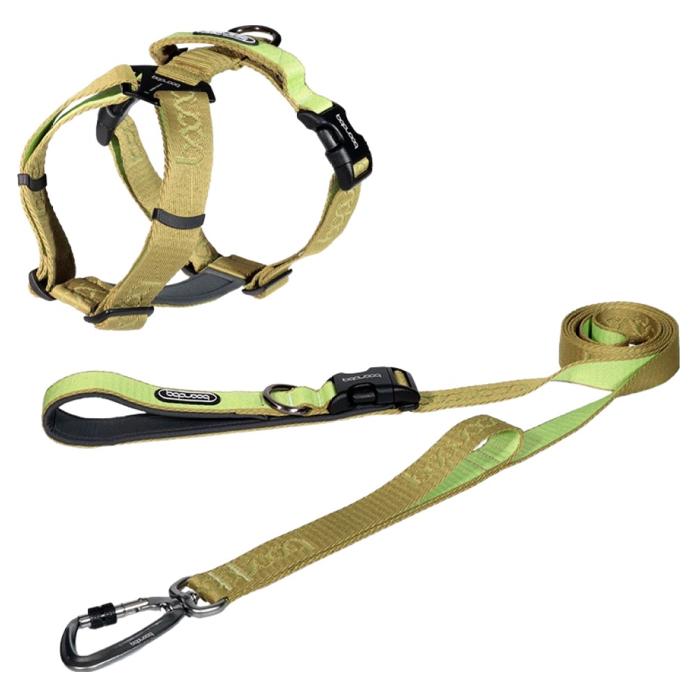 분독 플레이리쉬 롱리드줄 2m + 플레이 하네스 세트 95,000원