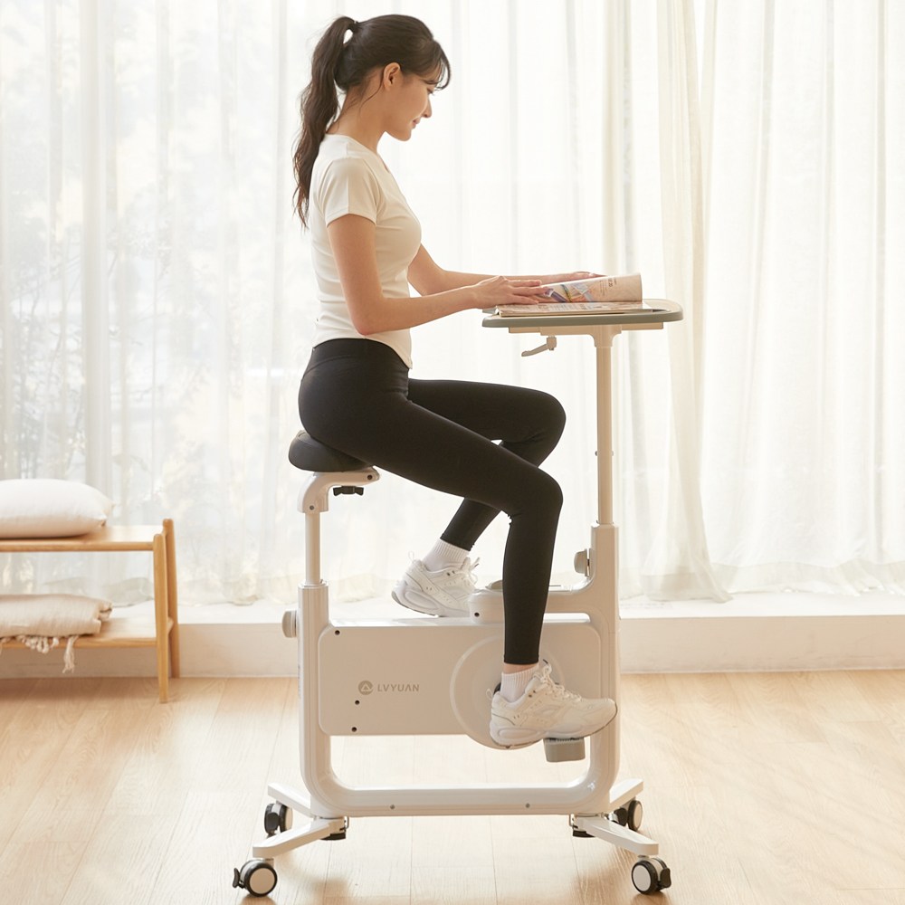 루앤 접이식 실내자전거 헬스 사이클 미니 스핀바이크 운동기구, 화이트 289,000원