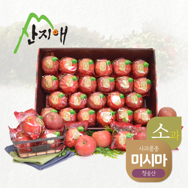 산지애 씻어나온 어린이 꿀사과 5kg 1box 봉지 세척사과 , 당도선별 12brix, 1개, 5kg 57,600원