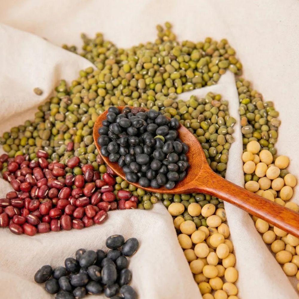 국산 콩 5종 서리태 쥐눈이콩 메주콩 녹두 팥 500g 1kg, 1박스, 통 녹두 1kg 26,900원