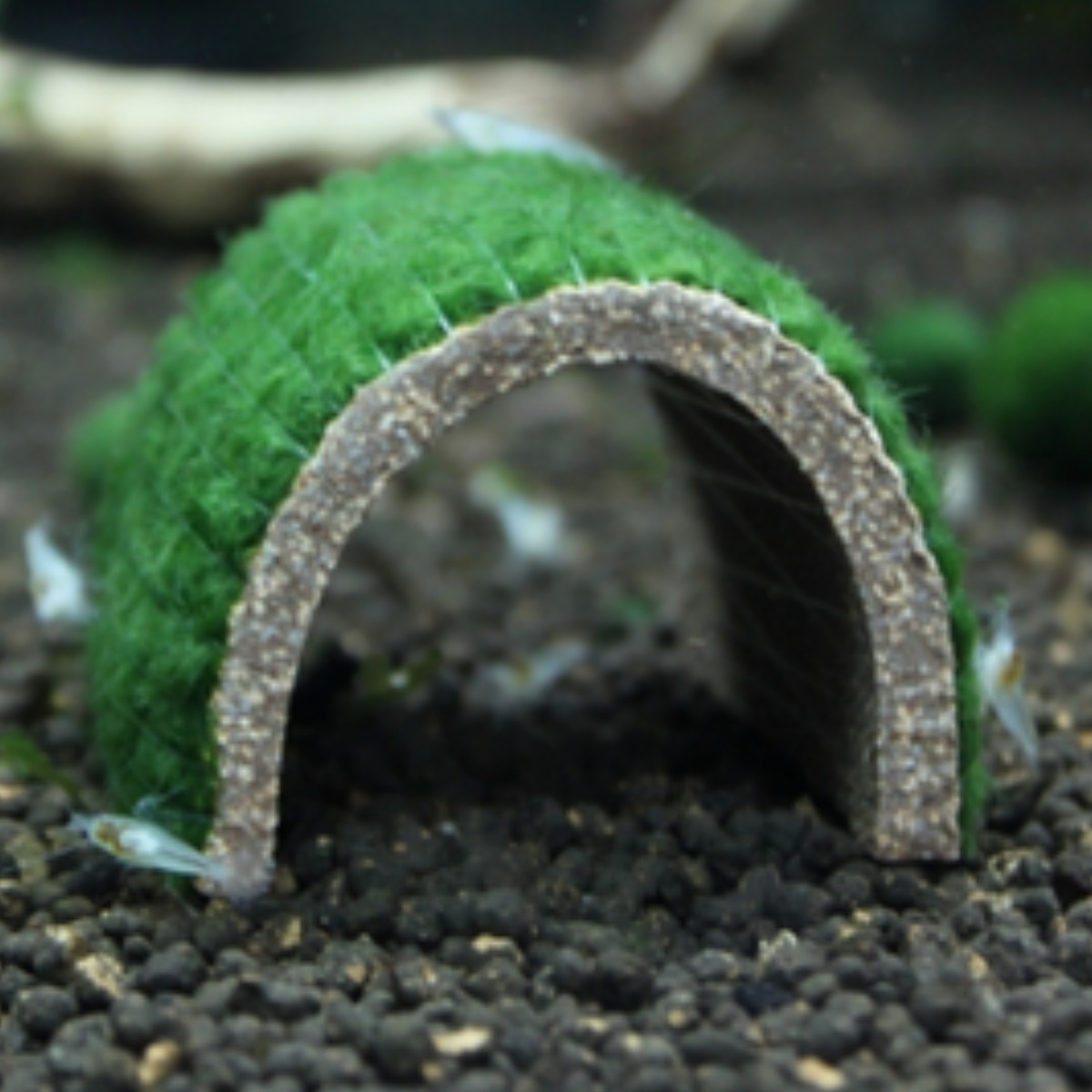 키우기 쉬운 어항 모스 음성수초 초보 구피 새우 은신처 놀이터 장식품, 1개 9,800원