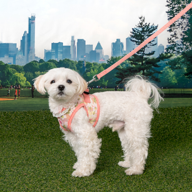 핑카홀릭 반려동물 리벳 하네스 HB7859, 인디안핑크, 1개 34,000원