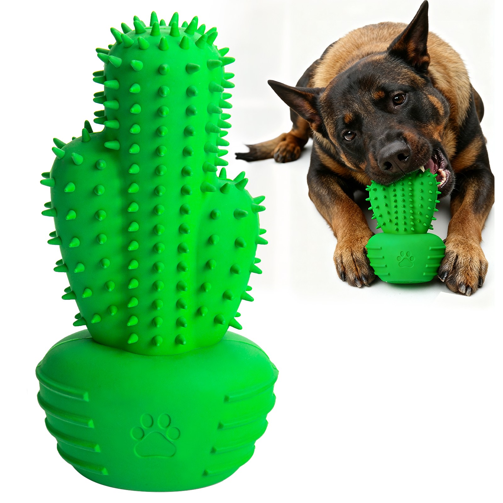 Qdan 반려견 씹는 치아 관리 장난감, 고무 소재의 소리 나는 선인장 모양 강아지 장난감 17,990원