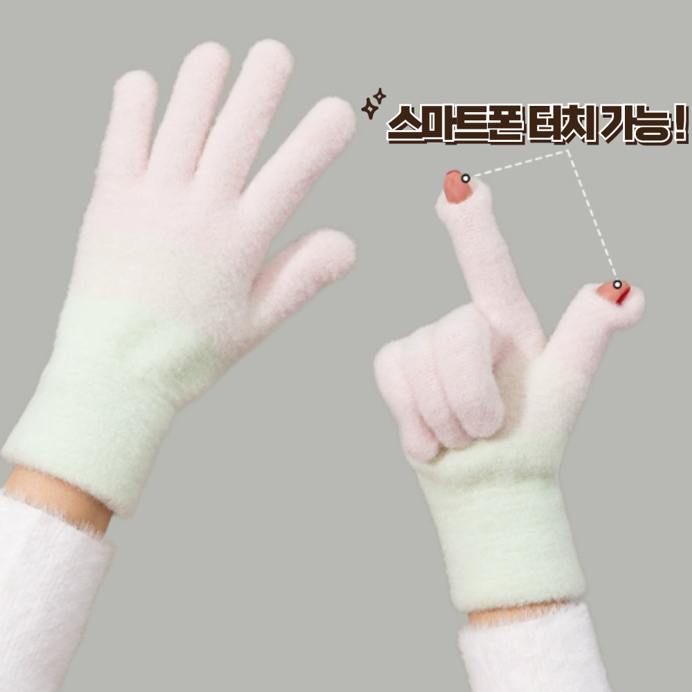 다잇대 데일리룩 필수템 여성기모 터치장갑 8,900원