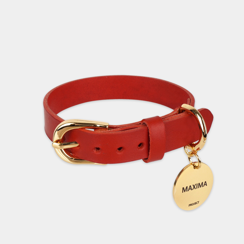 MX PET 베지터블 가죽 목줄 325X RED 강아지 소 중 대형 각인, 레드/기본형, 1개 54,900원