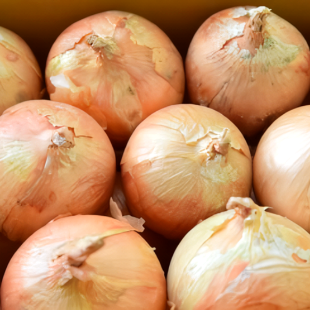 국내산 무안양파 단단한 햇 양파 9,700원