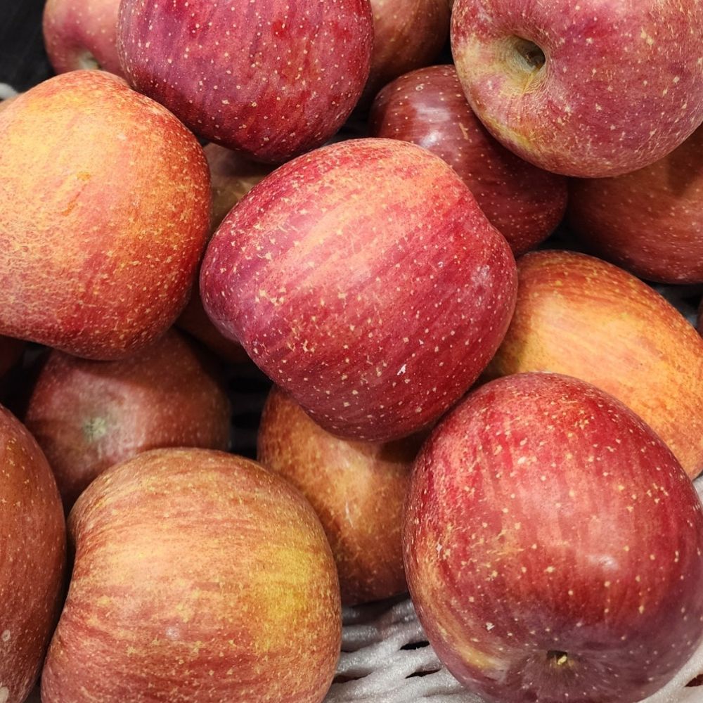 소백산 새콤달콤 아삭 부사 사과 정품, 1박스, (선물용)부사 정품 5kg 15 대과 85,000원