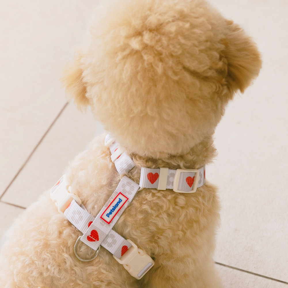 펫츠랜드 강아지 하트팝 H형 하네스 15,120원