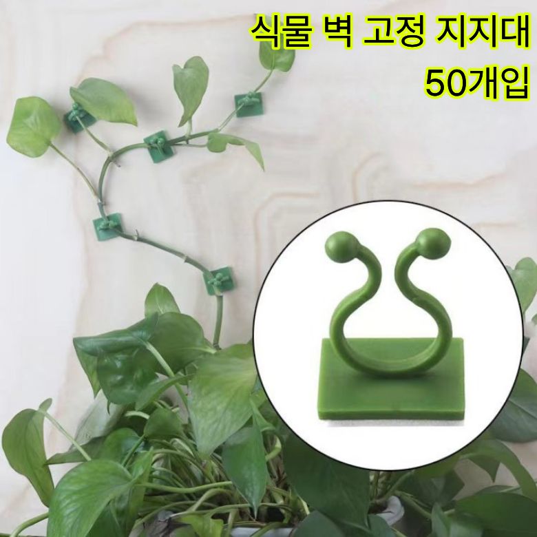 식물고정 지지대 넝쿨 식물 고정끈 화분 화초 나뭇가지 나뭇잎 원예용 벽고정걸이 벽 고정 후크 홀더 선 작물 케이블 정리 캡 9,800원