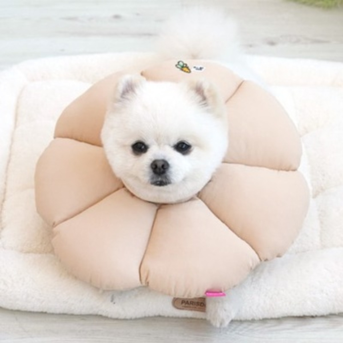 <로얄펫샵>패리스독 꿀잠카라 11,300원