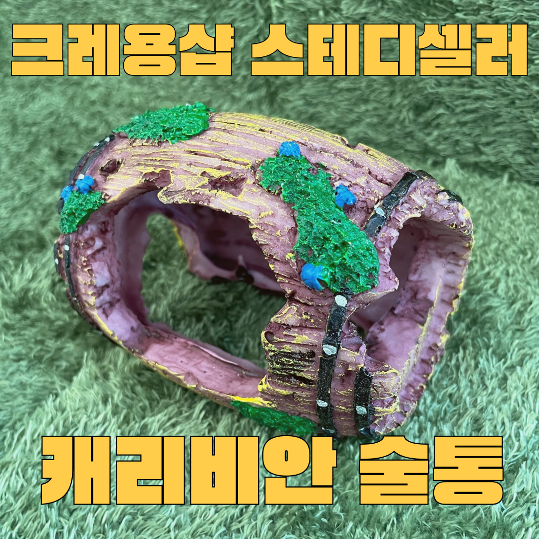 주스터디 도마뱀 은신처 나무요정 수족관 장식 16,900원