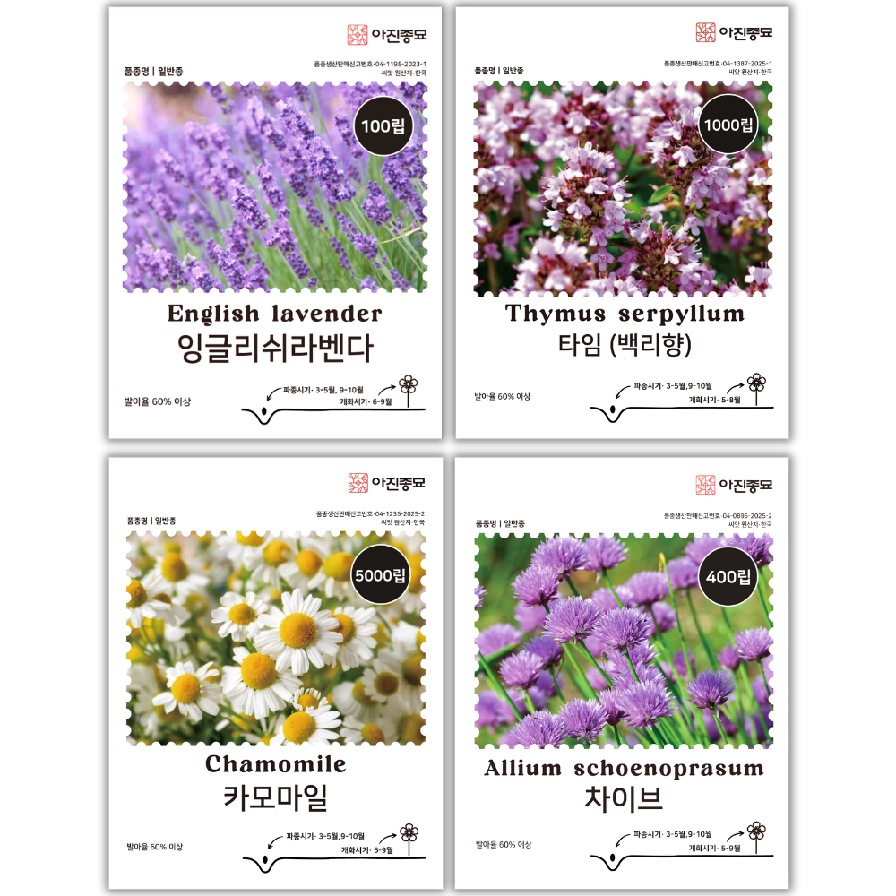 [주주씨앗] 허브 씨앗 4종세트 / 타임(백리향), 잉글리쉬라벤다, 카모마일, 차이브 종자 / 봄 가을 파종 허브 씨앗몰, 1개 9,900원