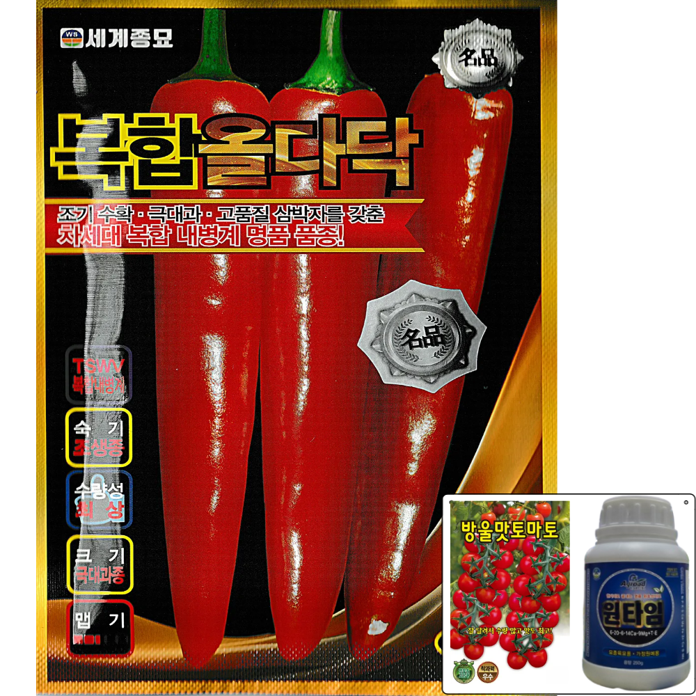 사카타코리아 복합올다닥 1200립 조생 극대과 수량성 우수 복합내병계 터널 고추 씨앗 종자 세계, 1개 150,000원