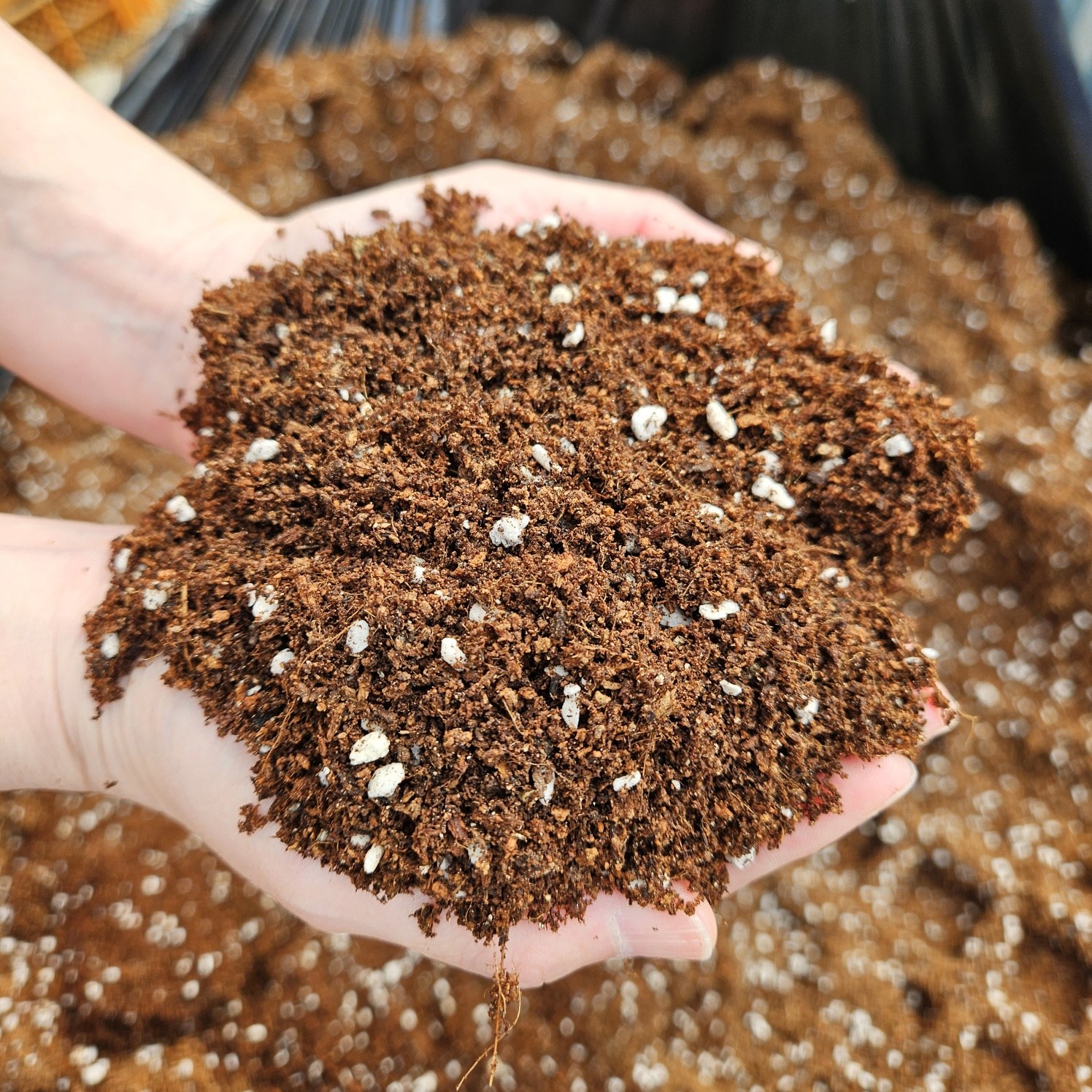 상토 10L 화초 화분 관엽식물 몬스테라 분갈이 살균 황토 흙 배양토 배합토, 1개 9,900원