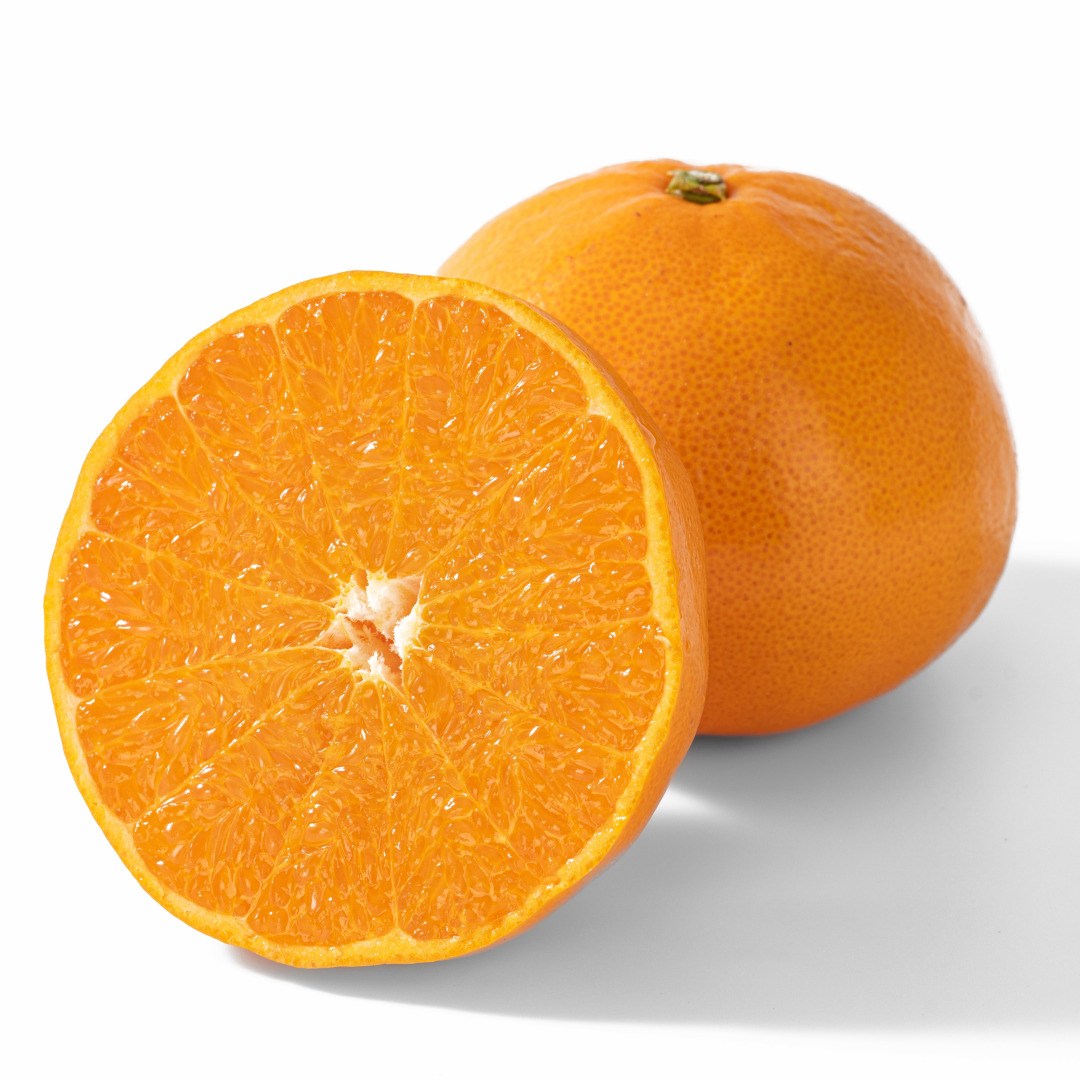 고당도 제주 하우스 천혜향 산지직송, 1개, 10kg 350g미만 91,280원