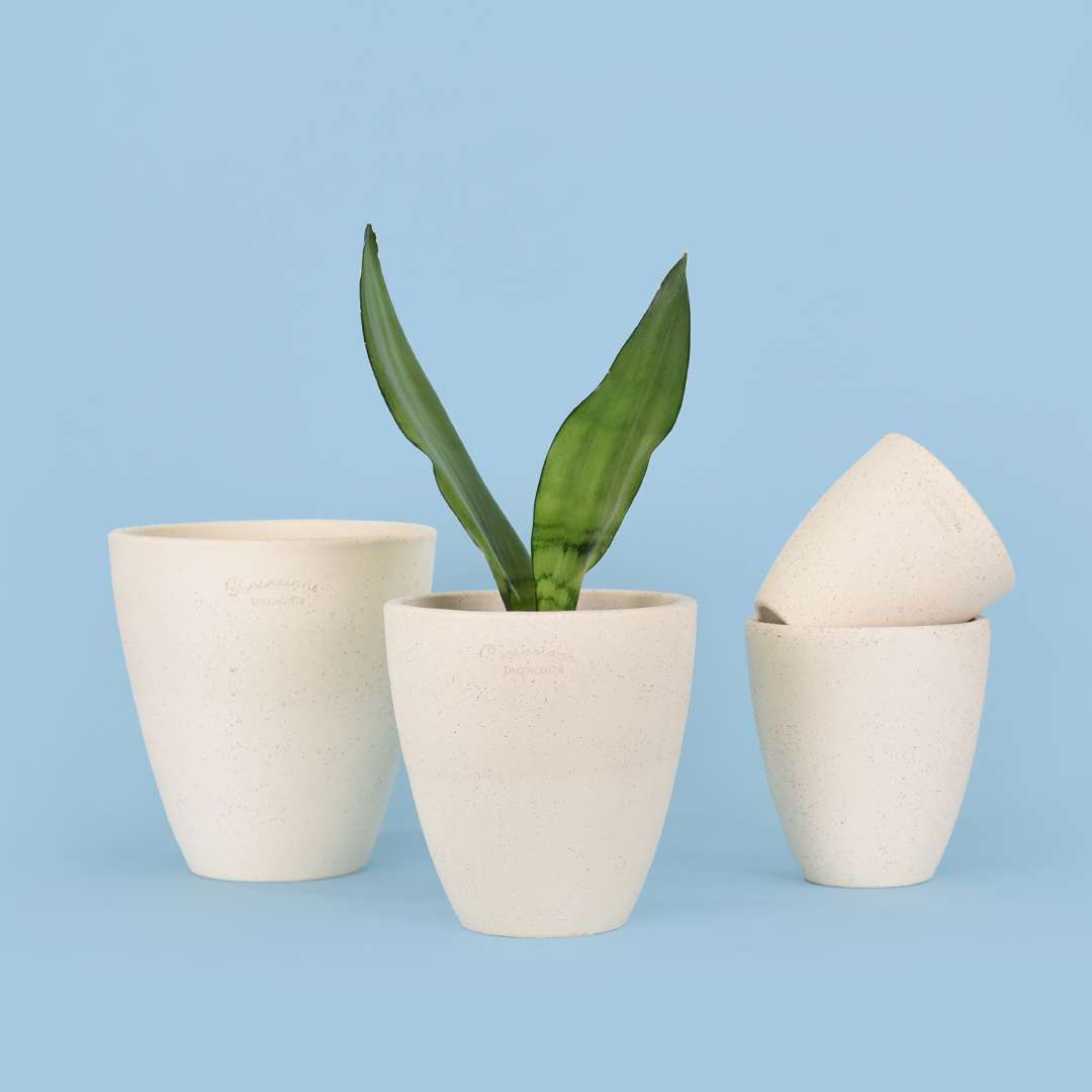 마이플랜트 로자리안 베리팟 전색상 (받침 세트) 14,700원