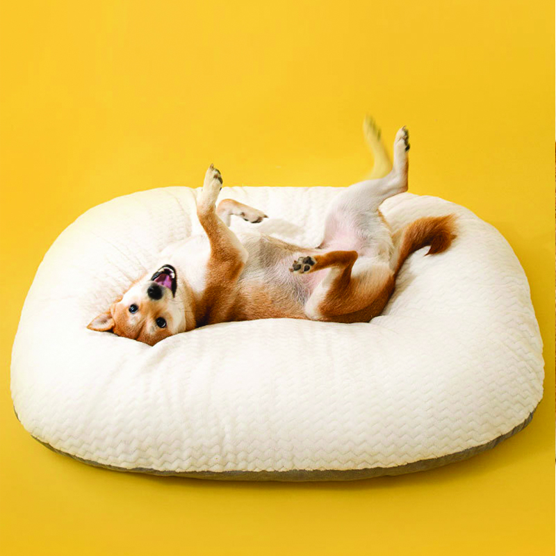 인뮤즈 강아지 몽글몽글 구름 방석 22,900원