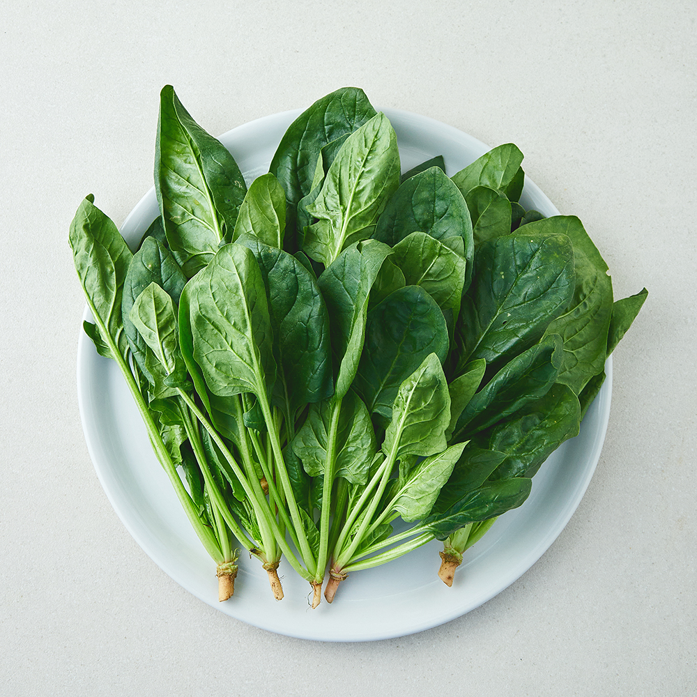 [로켓프레시] 유기농 시금치 2,380원