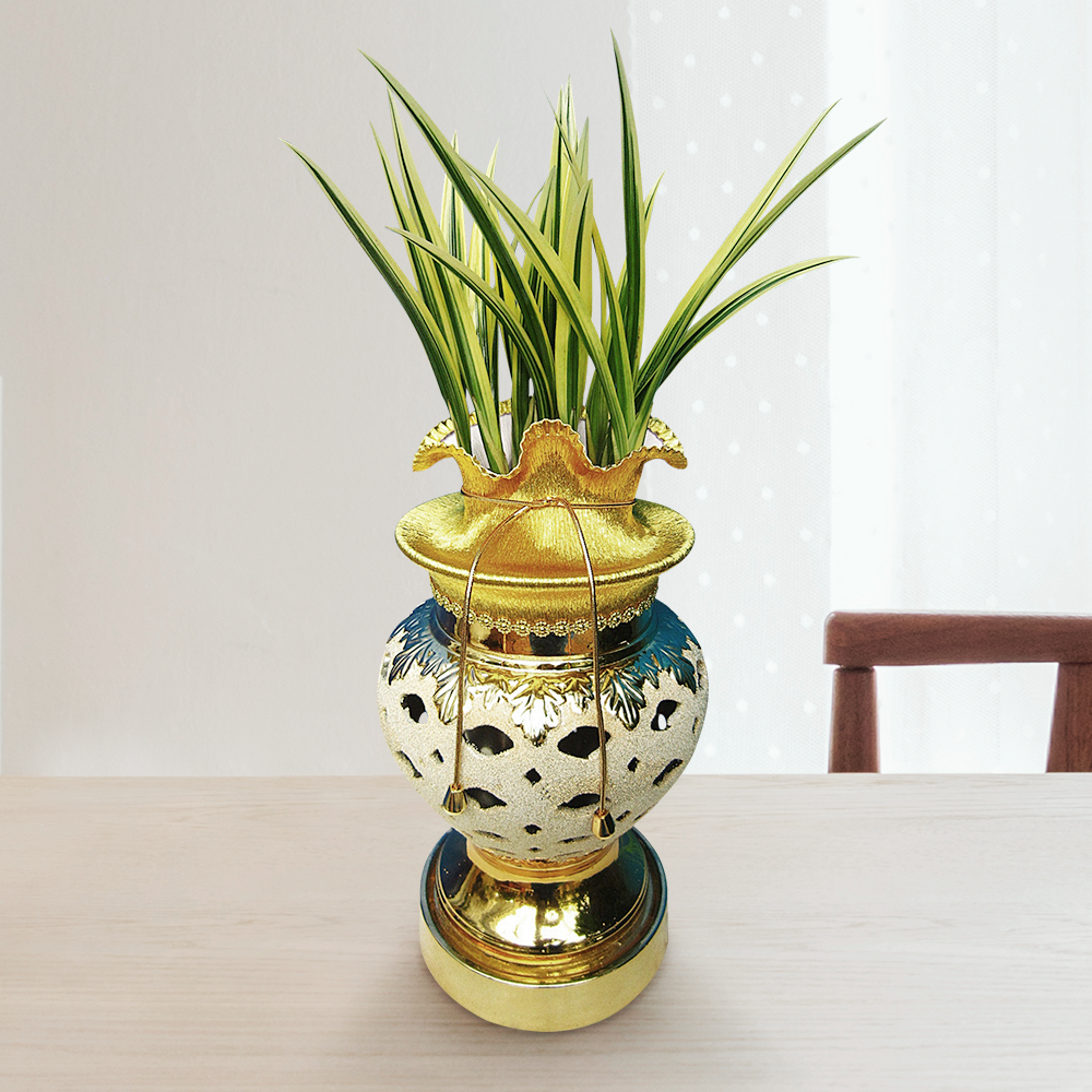 에코플라워 동양란 (일향금_황금) 전국당일배송 사진전송 승진 영전 인사이동 진급 취임 개업 꽃배달 g-0026, 1개 243,000원