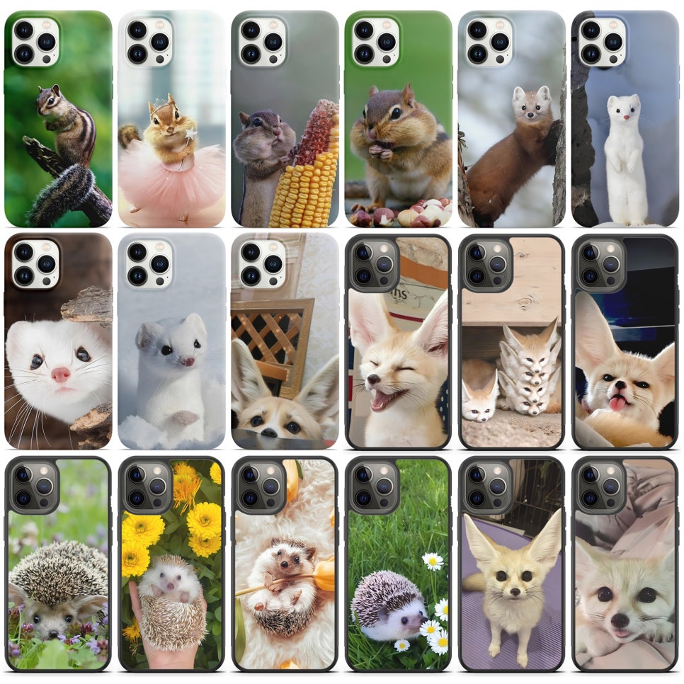 갤럭시 퀀텀4 A54 다람쥐 케이스 범퍼 하드 카드도어 2장수납 담비 여우 고슴도치 12,400원