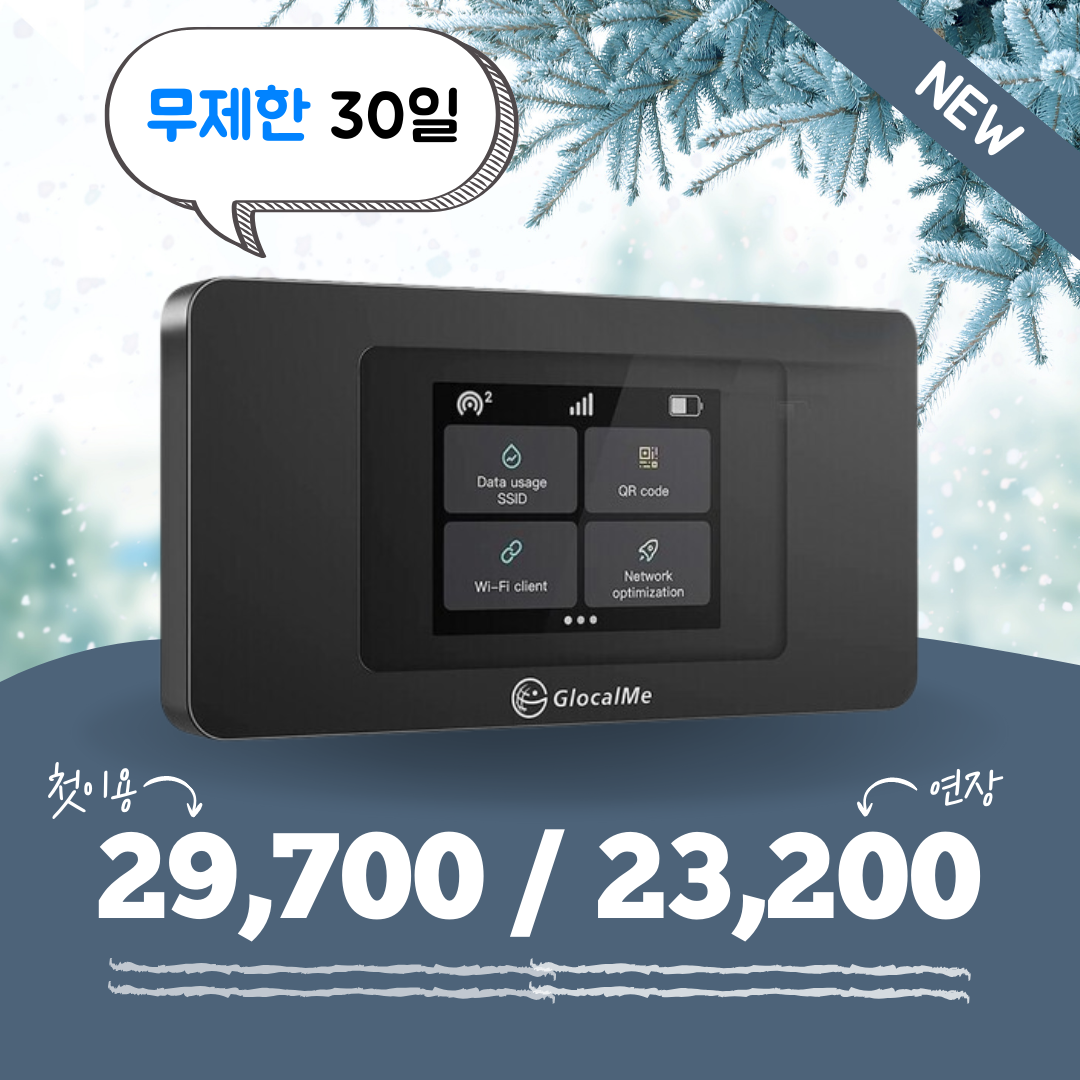 [데이타팡] SKT 휴대용 포켓 와이파이 에그 30일 60GB, 1개, 신규대여 총 60GB, 30일 29,700원