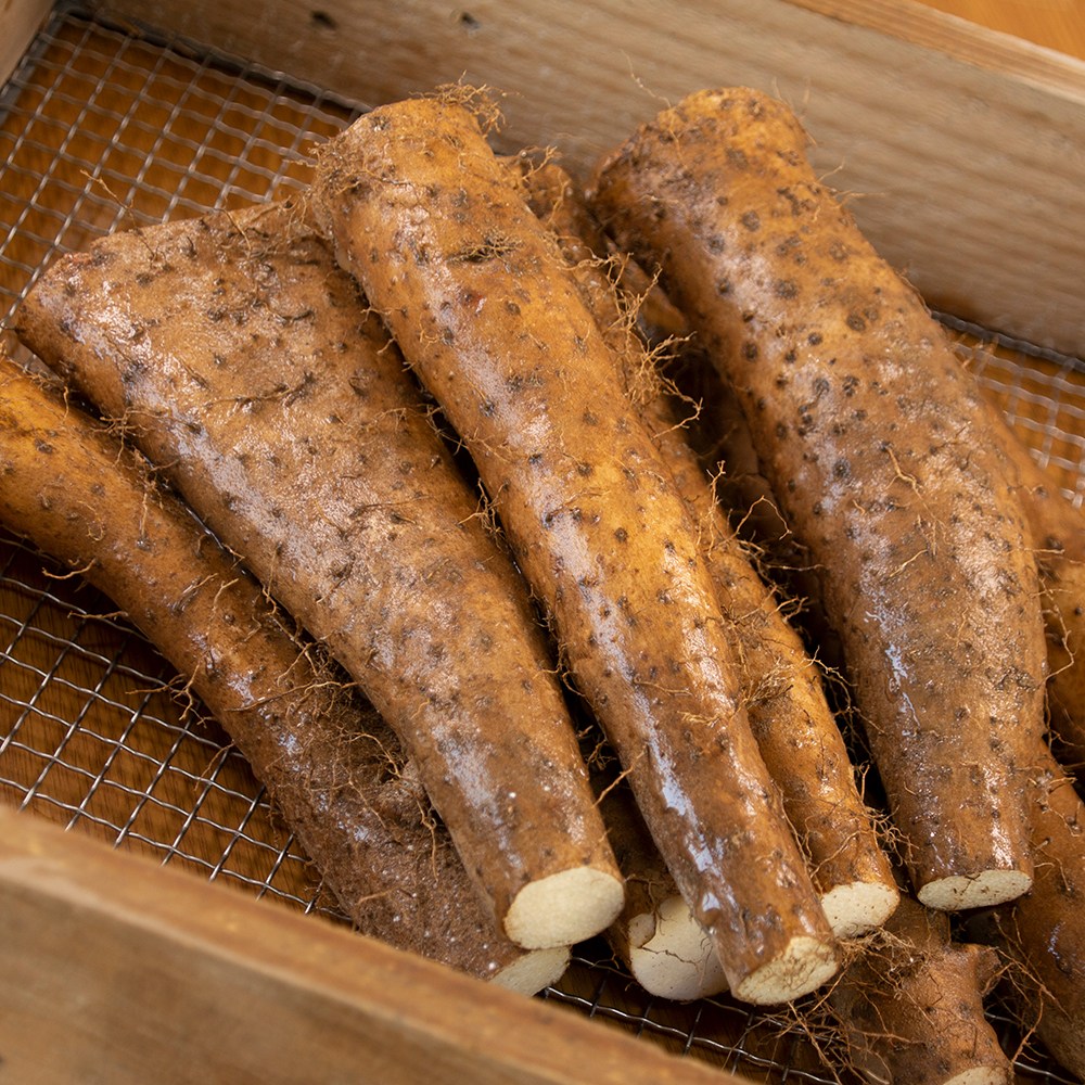 안동 태산농장 2025햇마 장마, 1박스, 5kg(장마 실속) 50,900원