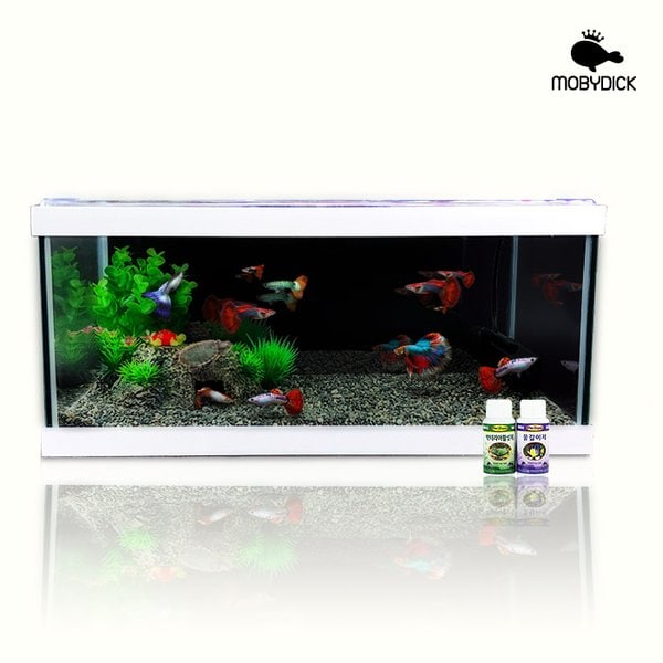 안핑크 50슬림 구피 풀세트 어항 AP 500(W) 모비딕 92,410원