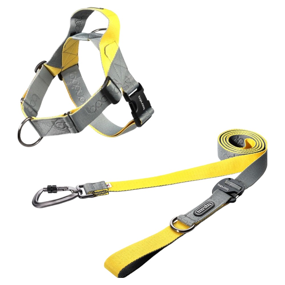 분독 강아지 플레이 카라비너 리쉬 + 0109 하네스 세트, 그레이레몬, 1세트 89,300원