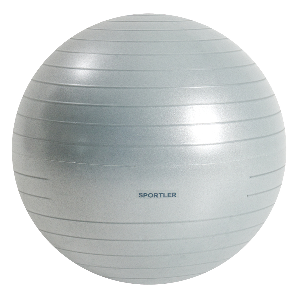 스포틀러 안티버스트 짐볼 세트 8,500원