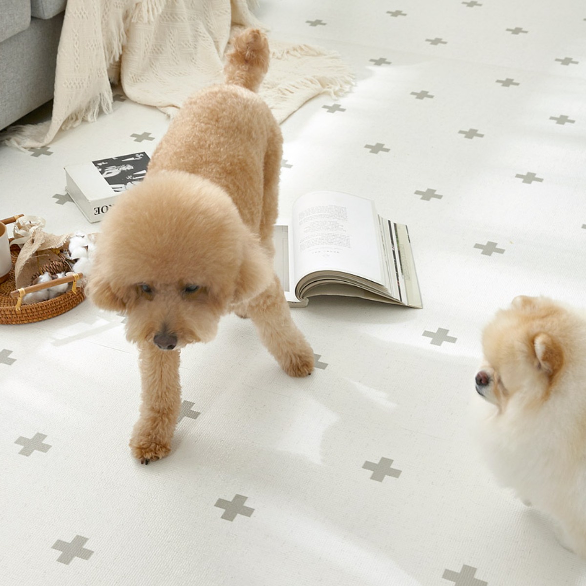 휴팡 15T 애견 롤매트 셀프시공 강아지매트 미끄럼방지 슬개골보호 펫 PVC매트, 폭 110cm x 9m 305,100원