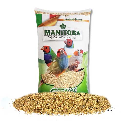 마니토바 핀치류 사료, 1kg, 1개 7,900원