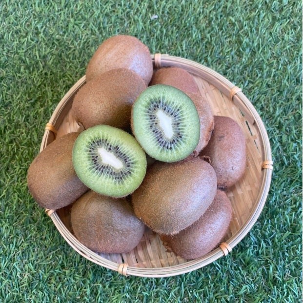 [새콤달콤]국산 그린키위 참다래 2kg 3kg, 1박스, 특대과 2kg (14과 내외) 21,900원