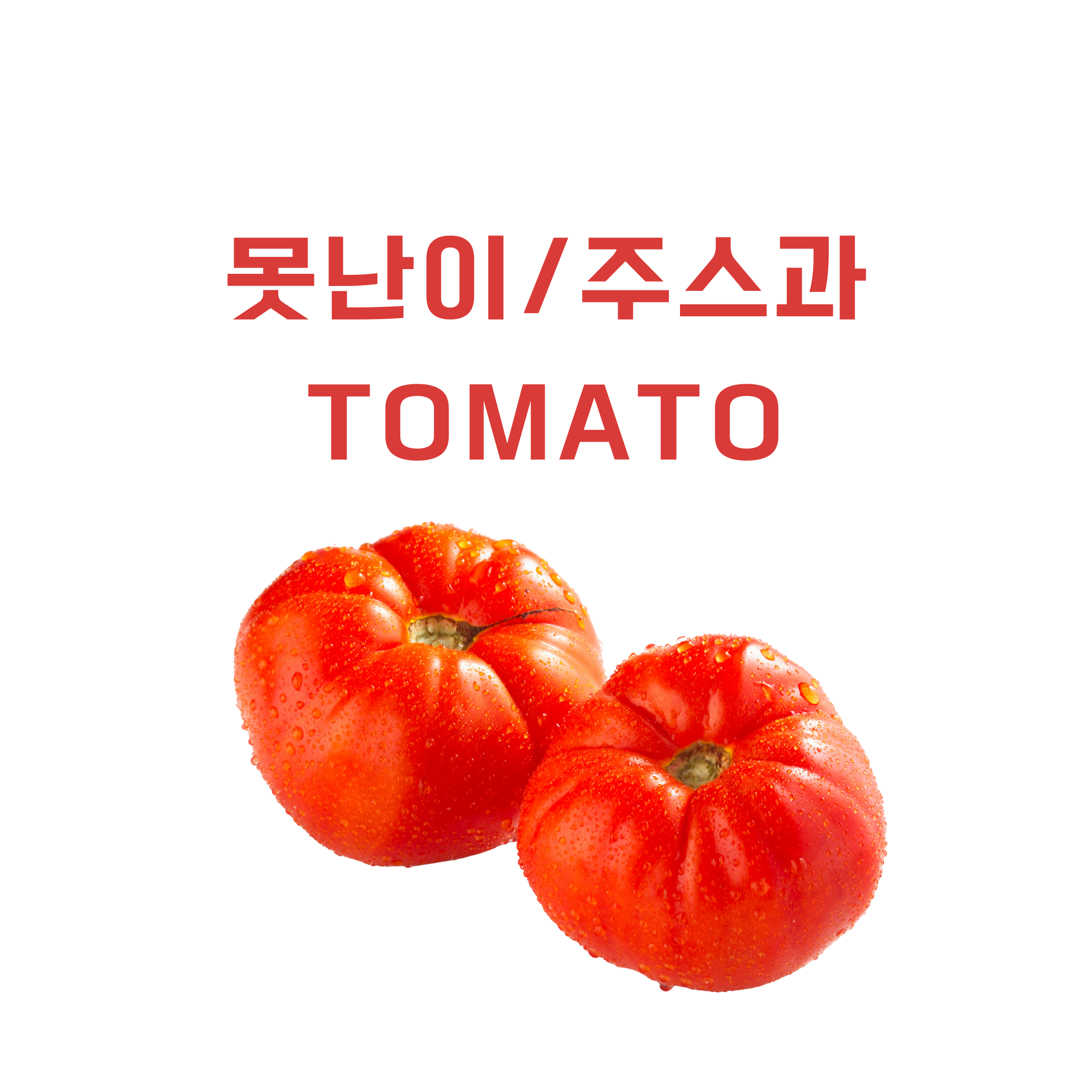 [지앤에프농업회사] 과즙팡팡 !! 당도폭발!! 완숙토마토 로얄중과/ 대과 / 주스과 구성 당일수확 당일발송, 1박스, 못난이/3kg 13,900원