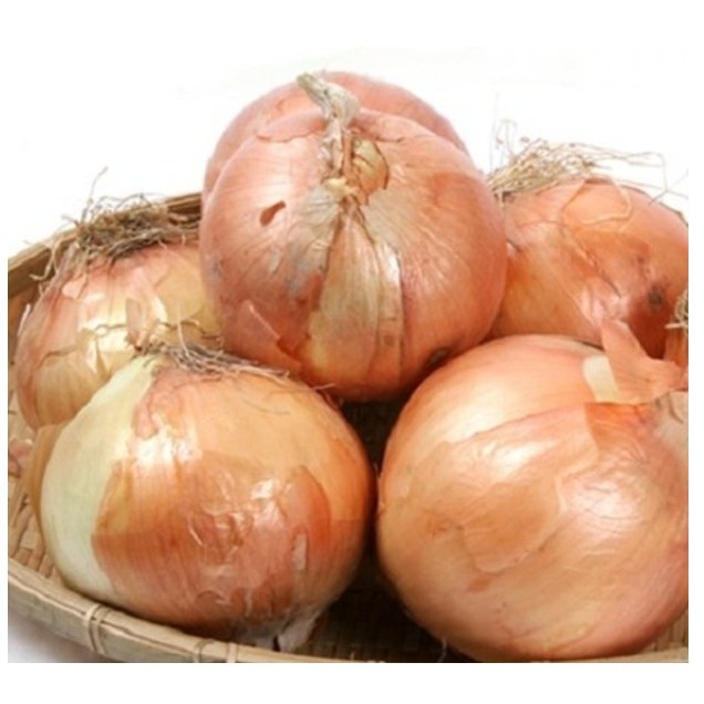 아빠의 마음 품질엄선 26년 국내산 햇양파 6,300원