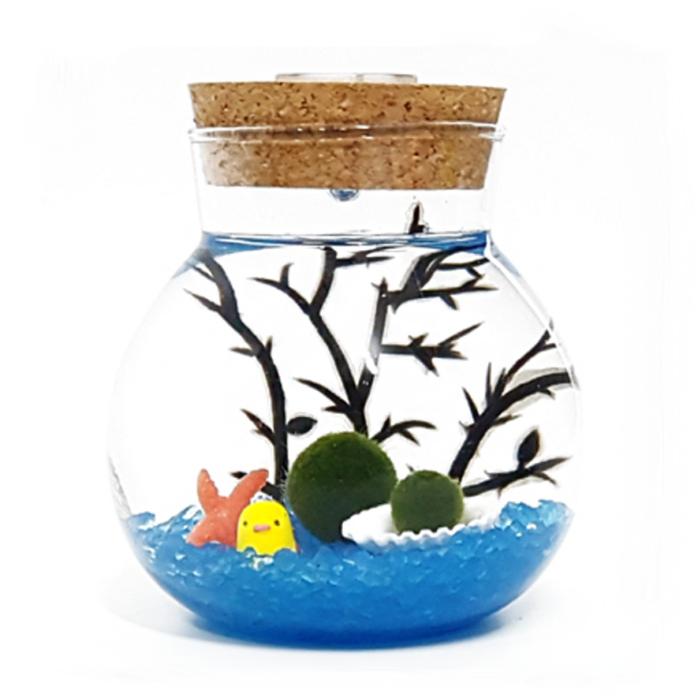 마리모 키우기 세트 led 볼단지 어항 700ml 마리모1cm포함 키트 16,900원