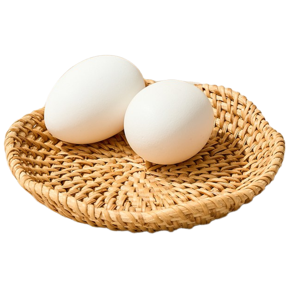 [모던하우스] L 라탄 꽃모양 미니트레이 D15 9,900원