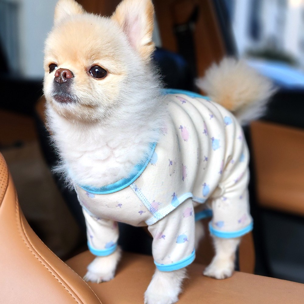 해피앤퍼피 강아지올인원 여자아이전용올인원 오가닉 등단추올인원 실내복 조끼 75,900원