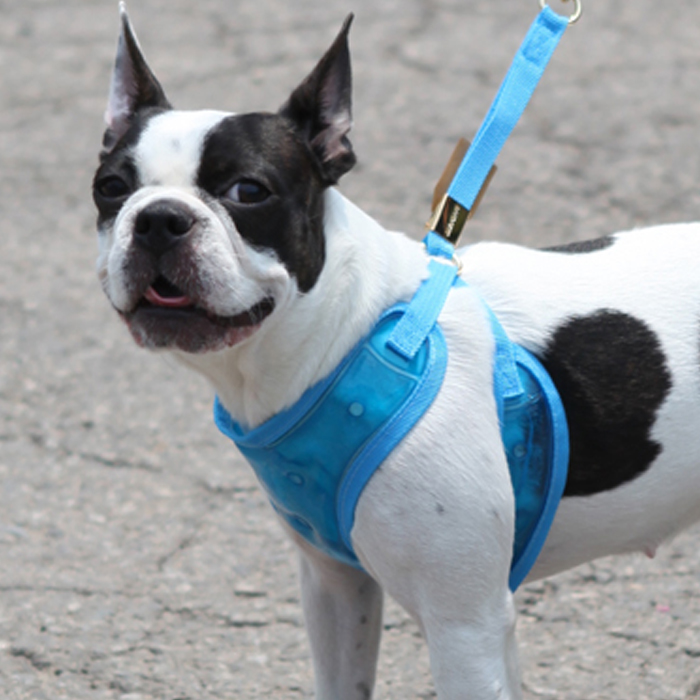 레드퍼피 강아지 알레스카 얼음 쿨 하네스 M + 리드줄 세트 11,920원
