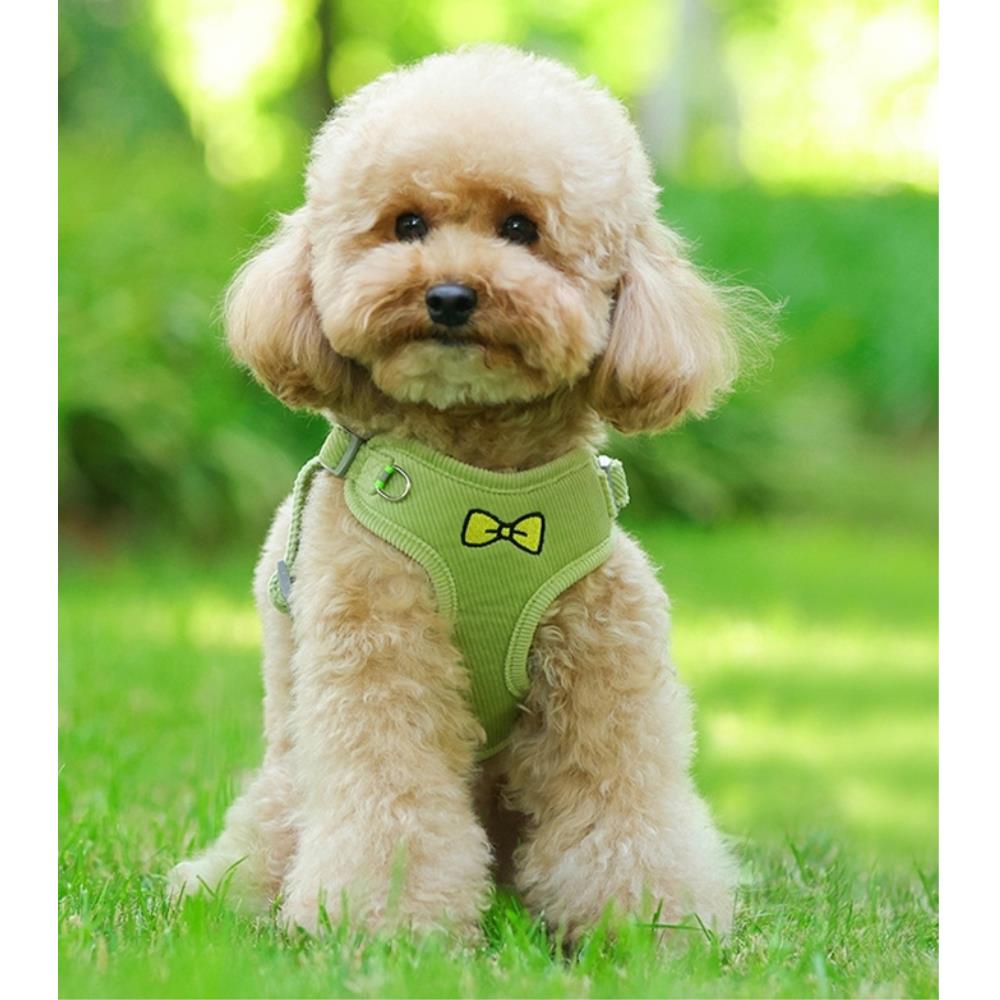 디아쿠아 강아지 고양이 겸용 야광 빛반사 따뜻한 리본 자수 하네스+리드줄 17,740원