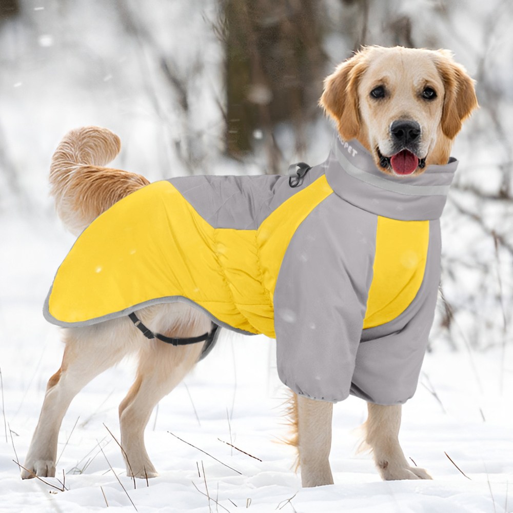 에스엘씨펫 반려견 패딩 올인원 17,820원