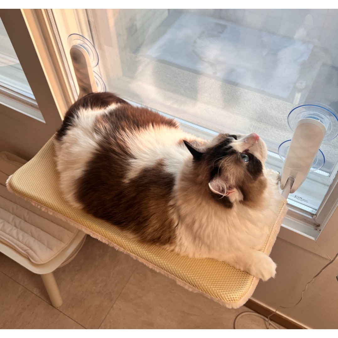 마아 고양이 강력 흡착 폴딩식 창문 해먹, 혼합색상, 1개 19,900원