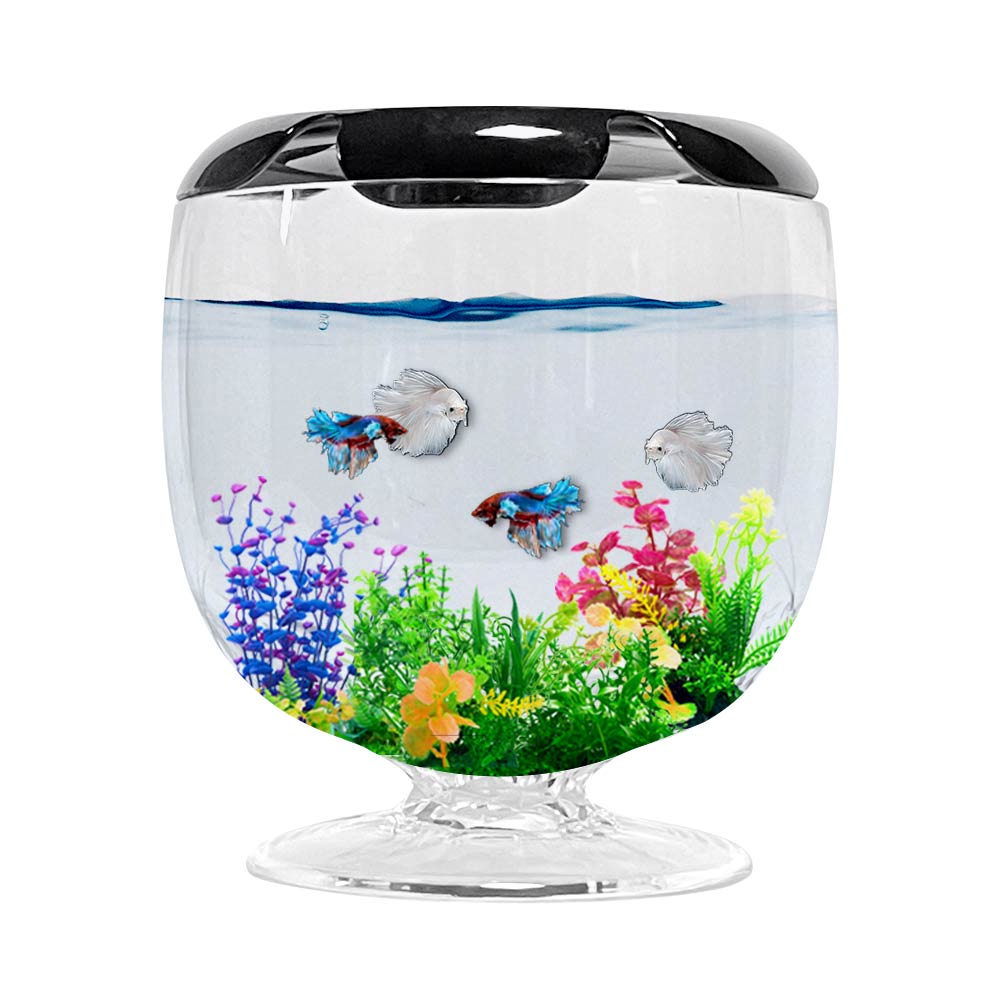 아쿠아테라 스타일리쉬 베타어항, 1개 8,000원