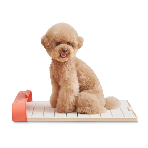 모노모그 스윙배변판 무한연장 대형 강아지 배변판 42,500원