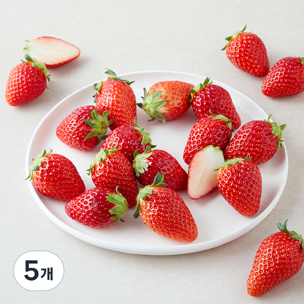 [로켓프레시] 올푸릇 무농약 인증 금실딸기 36,420원