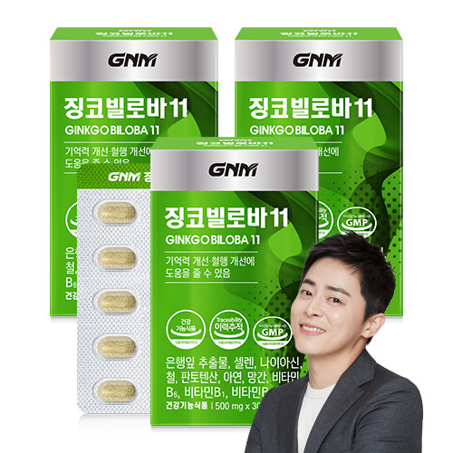 GNM 징코빌로바11 / 은행잎추출물 비타민B 아연 판토텐산, 30정, 3개 19,800원