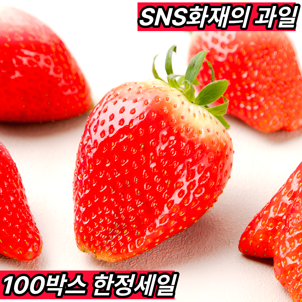 [유통마진제로] 수출대란 오늘수확 킹스베리 국내산 설향 딸기 논산 산지직송, 1세트, 400g (왕왕) 24,600원