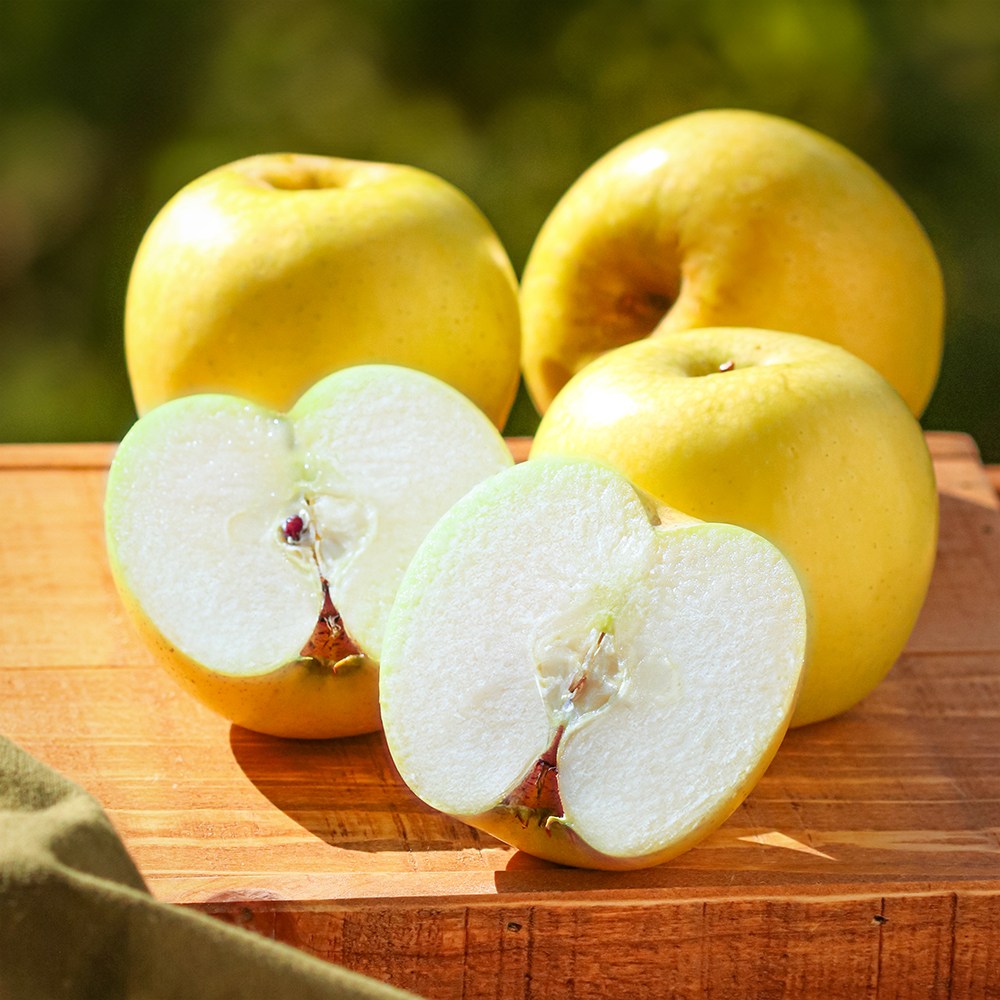 [300박스 한정수량] 백화점 납품용 시나노 골드 황금 사과 선물세트, 1세트, 정품 5kg(11-13과) 67,400원