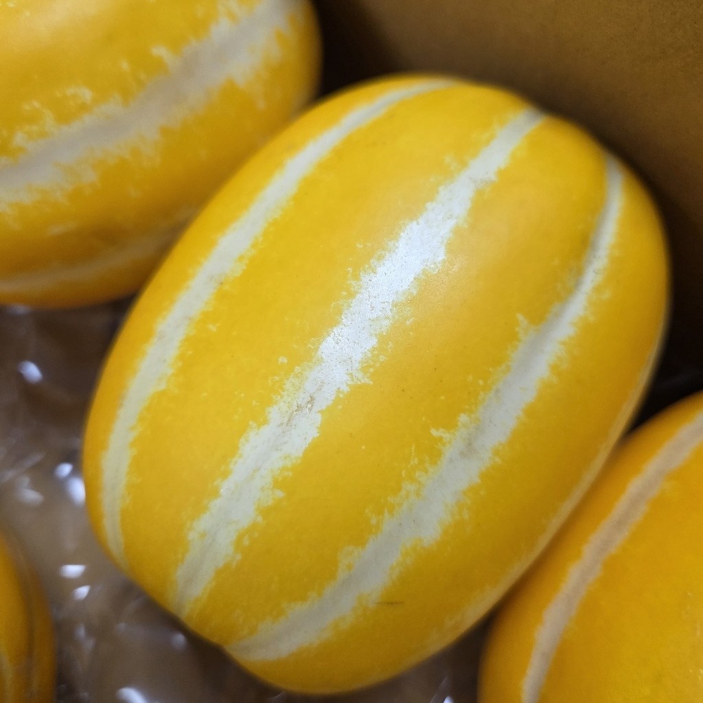 [고당도선별] 최대20brix 꿀흐르는 성주 참외 39,800원