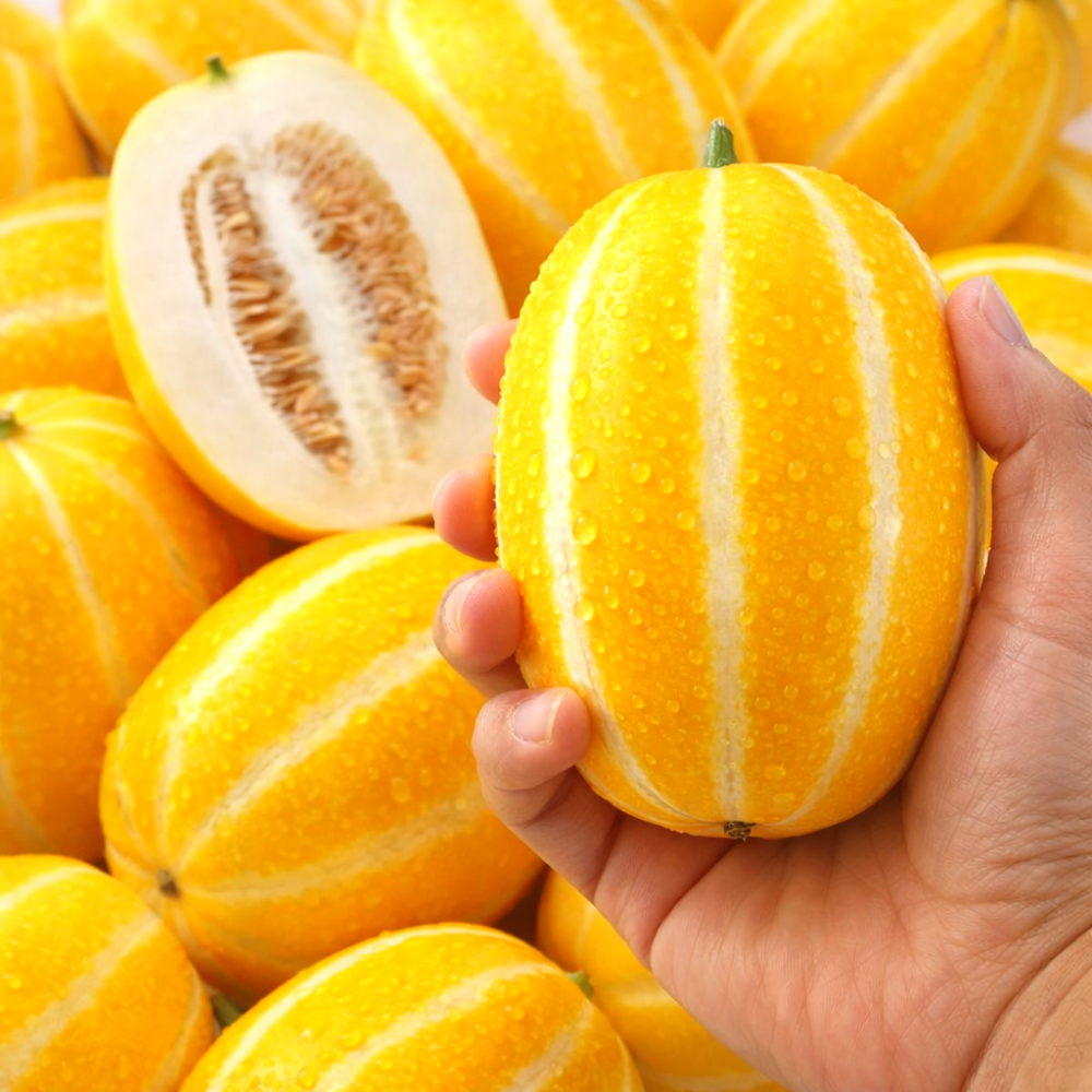 [첫수확파격특가] 고당도 산지직송 아삭달콤한 성주참외, 1박스, 5kg, 현재가 38,830원