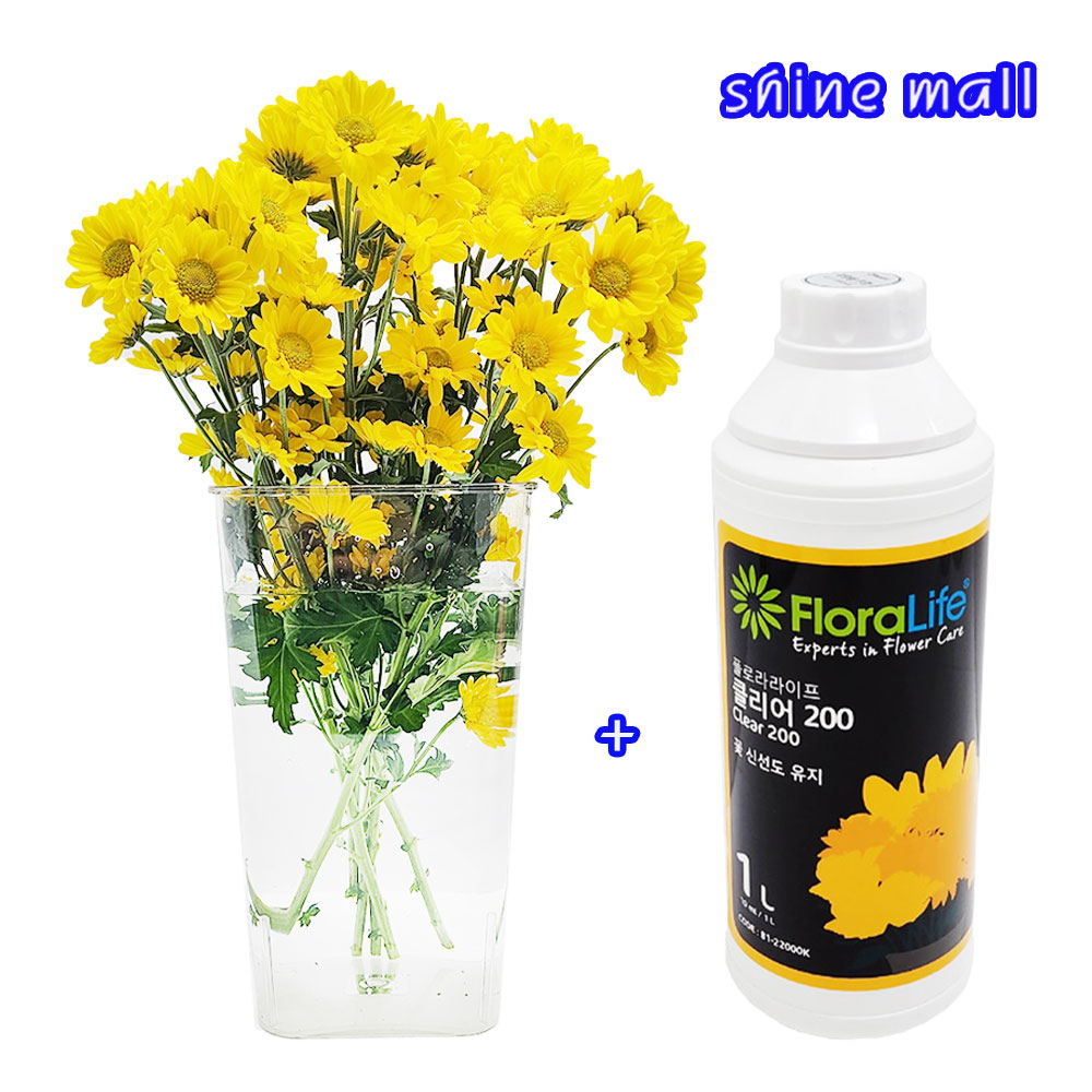 (1+1) 플라워케어 2종(사각꽃통 대1개+수명연장제 클리어1L-1개)무료배송/꽃을 오래 봐야하니까 22,610원